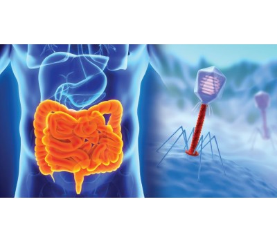 Major Advance in Intestinal Health